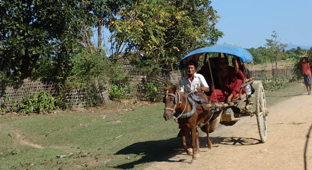 Visita guidata della città in carrozza trainata da cavalli