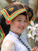 Storia del popolo di Thai in Vietnam