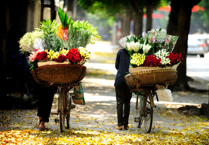 A glimpse of Vietnam